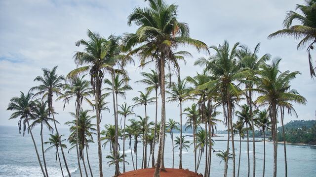 SriLanka Perfect Gateaway Premium