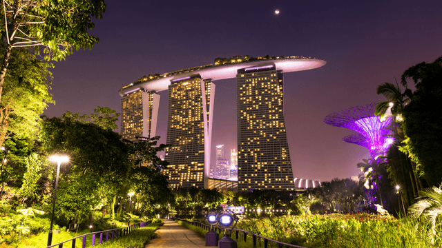 Singapore Best Combo Premium