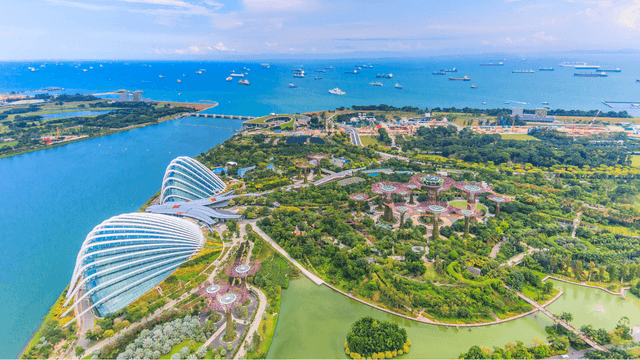 Singapore Best Combo Economy